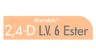 2 4 D LV6