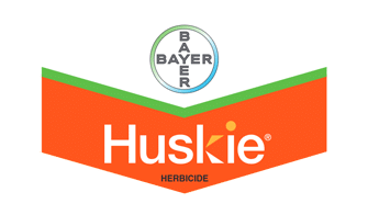 Huskie by Bayer